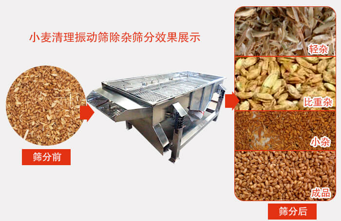 小麥清理振動篩小麥篩分效果展示圖可同時(shí)篩分出輕雜，比重雜，小雜，成品等四個等級。